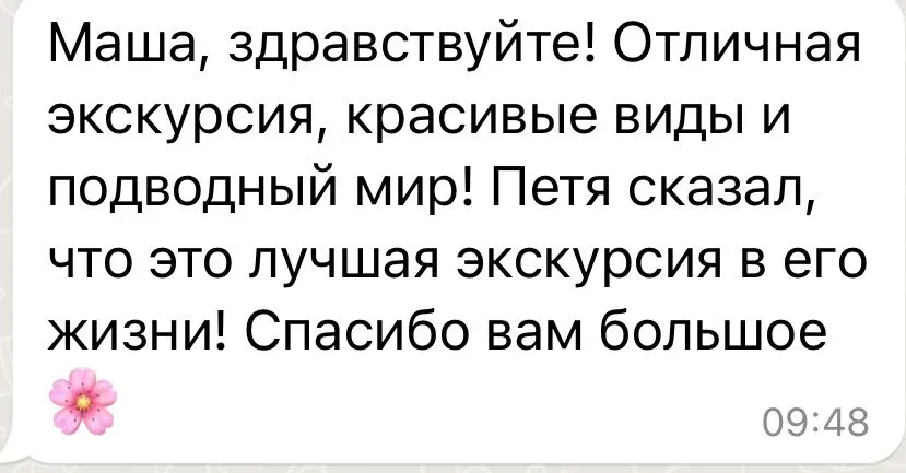 Сообщение клиента в WhatsApp